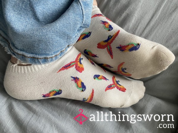 SOLD🦜Worn No-show Parrot Socks 🦜