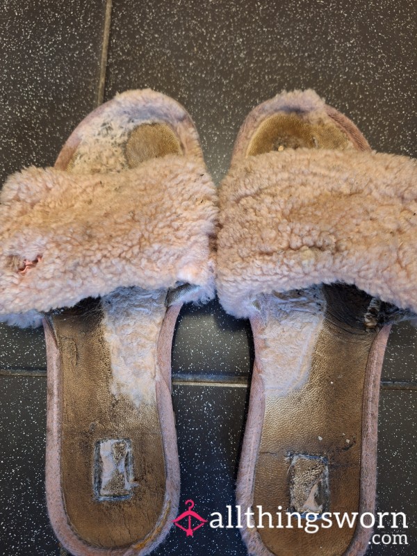 Worn Out Well Used Ugg Slippers