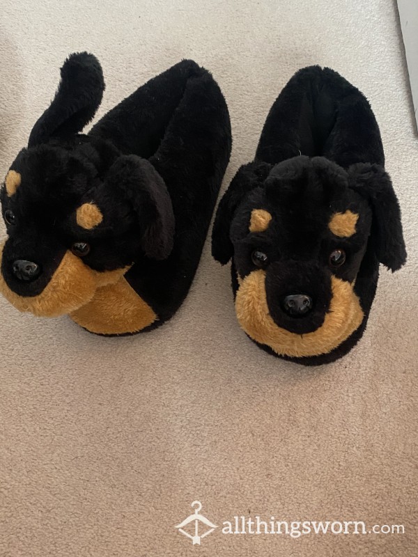 Worn Puppy Slippers