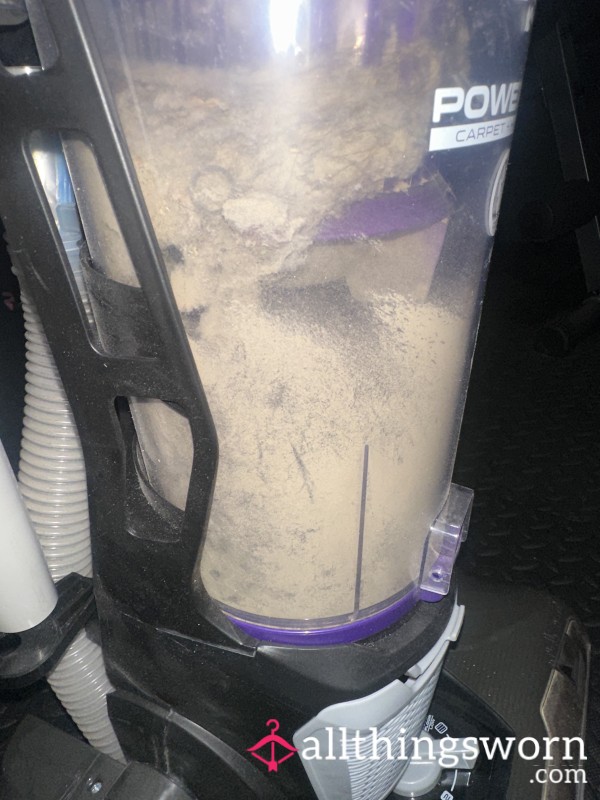 WORSHIP MY VACUUM CLEANINGS