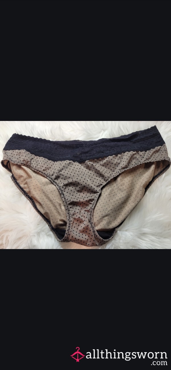 XL Warners Bikini Panties