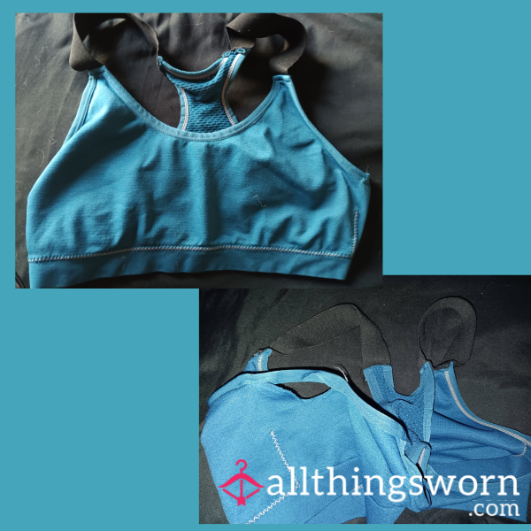 XL Worn And Wripped Sports Bra