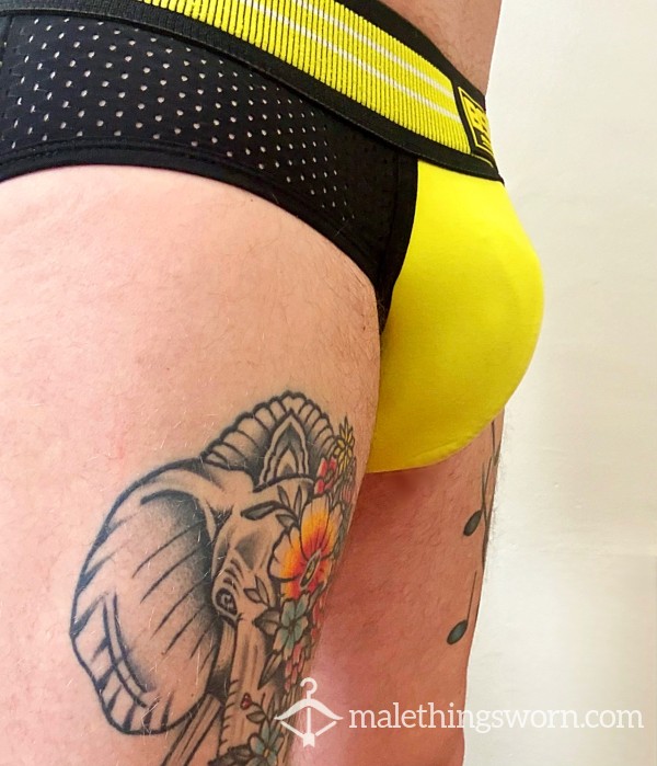 Yellow Jock