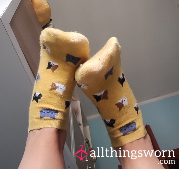 Yellow Socks With Cats