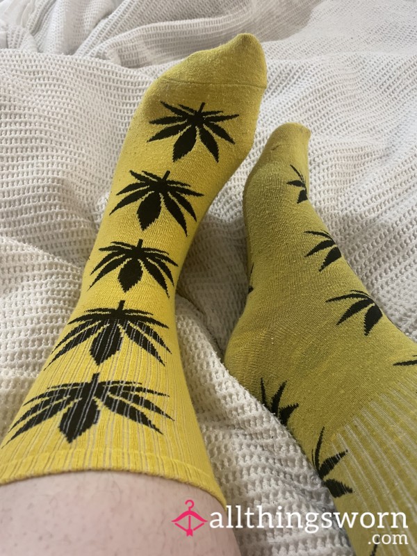 Yellow Weed Leaf Stoner Socks