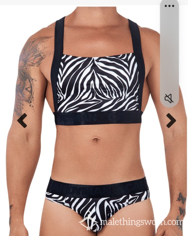 Zebra Print