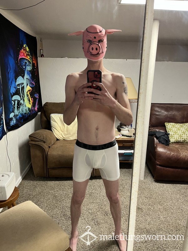 Pigbottomguy